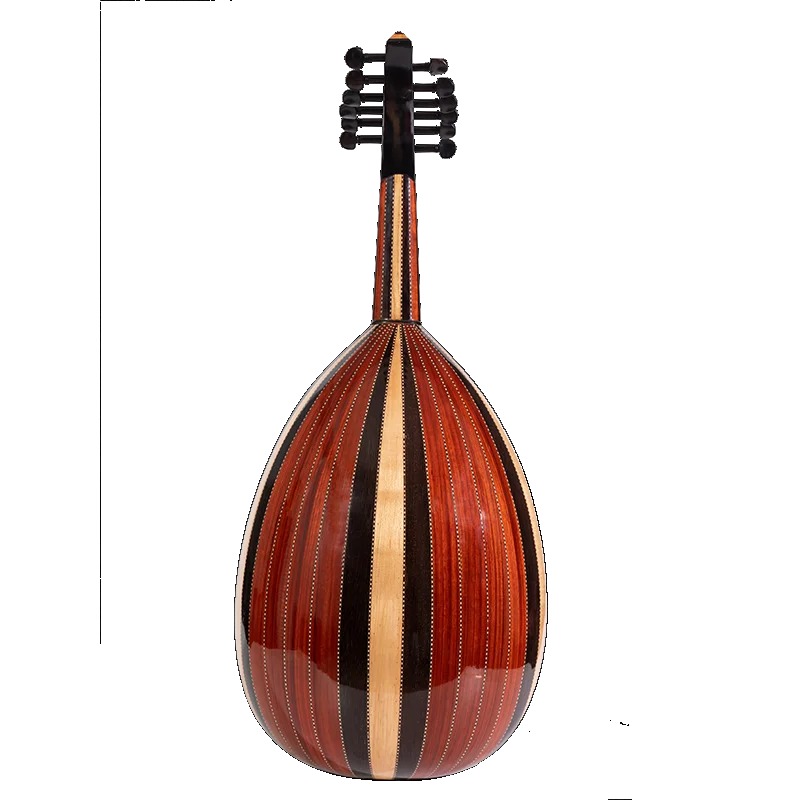 OM-1 OUD 12-saitige Oud-Gitarr – Musical Instrument Oud Bewertung und Preis