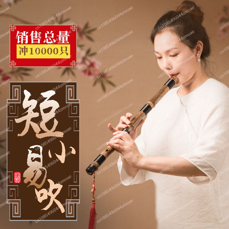Professionelle Spielflöte aus  – Musical Instrument Blow Bewertung und Preis