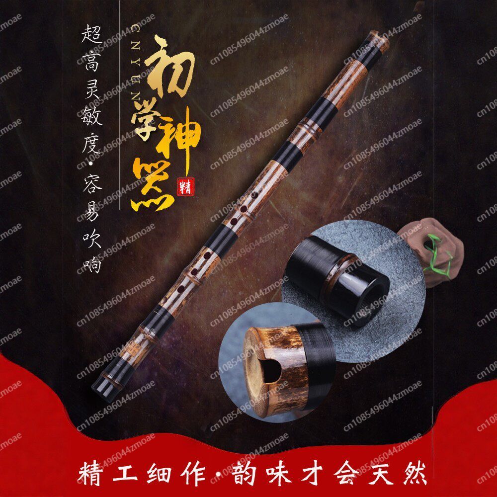 Professionelle Spielflöte aus  – Musical Instrument Blow Bewertung und Preis