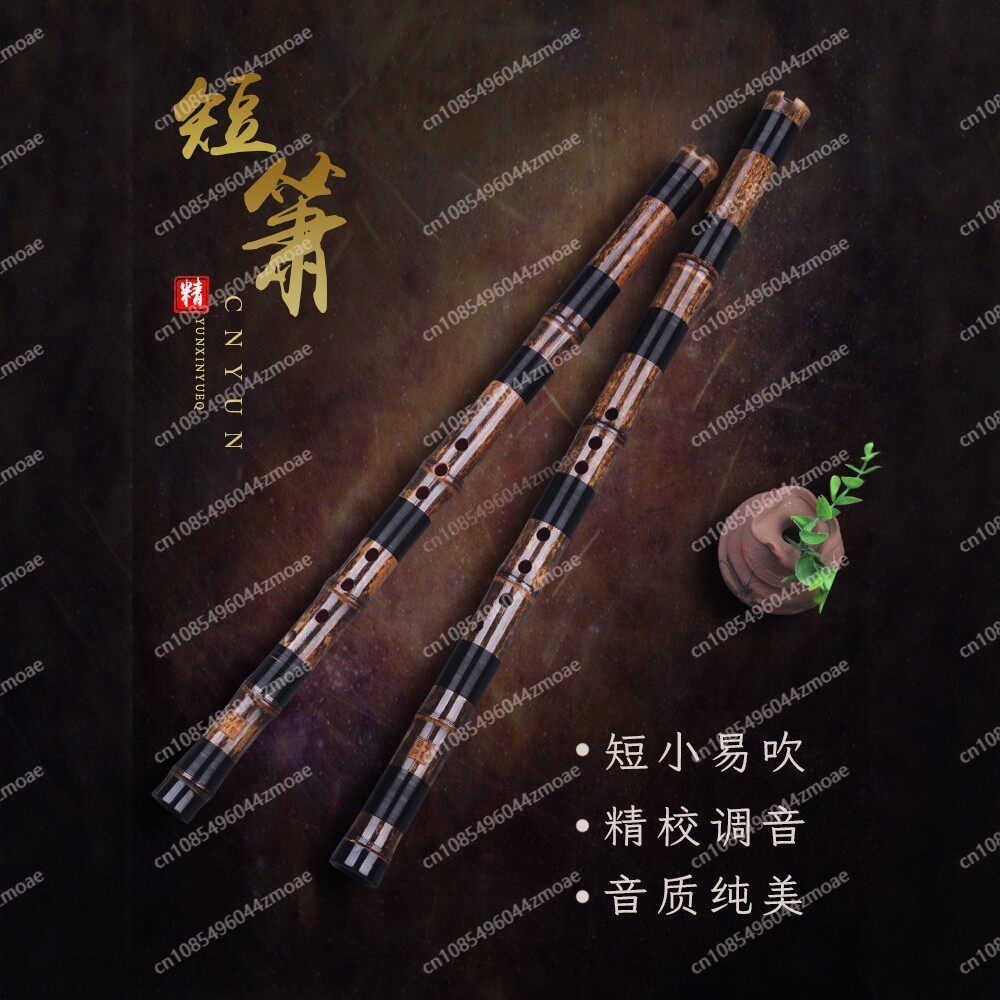 Professionelle Spielflöte aus  – Musical Instrument Blow Bewertung und Preis