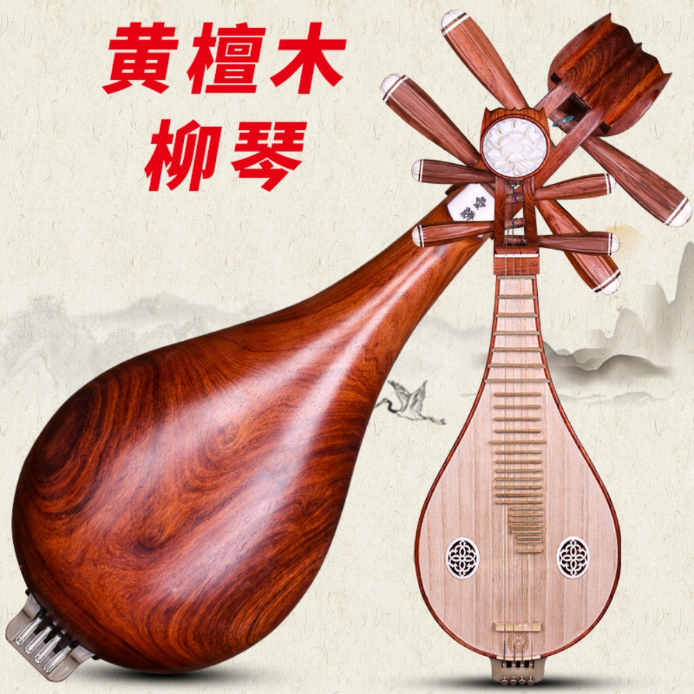 Beijing Xinghai 8414-A Palisan – Musical Instrument Music Bewertung und Preis