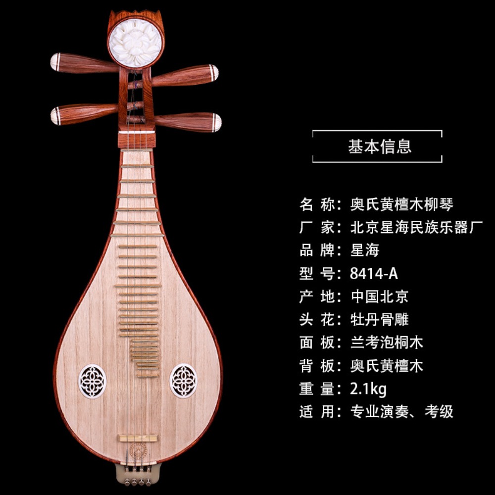 Beijing Xinghai 8414-A Palisan – Musical Instrument Music Bewertung und Preis