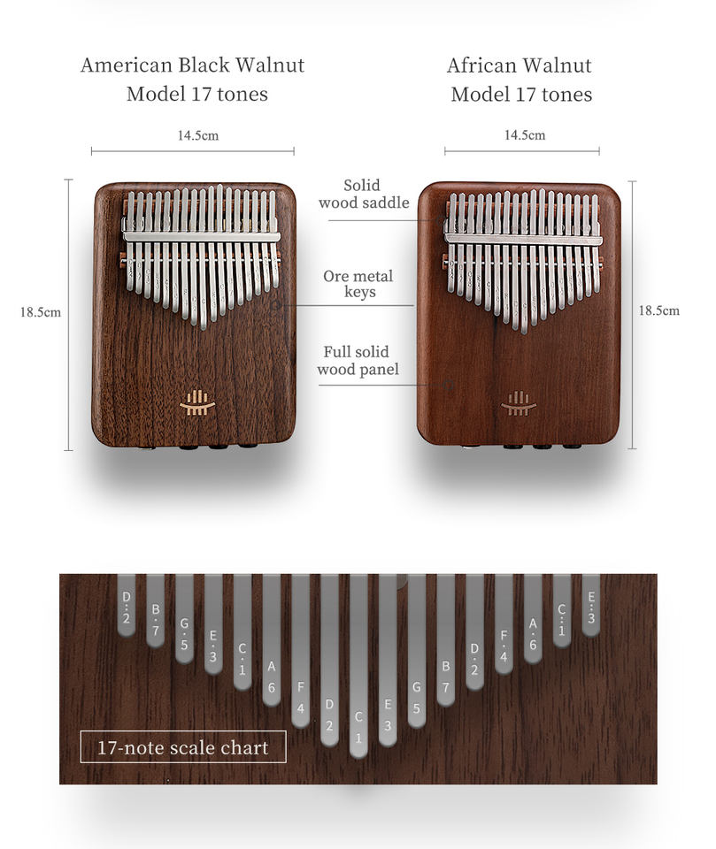 A-17 Amerikanisches Schwarznus – Musical Instrument Percussion Bewertung und Preis