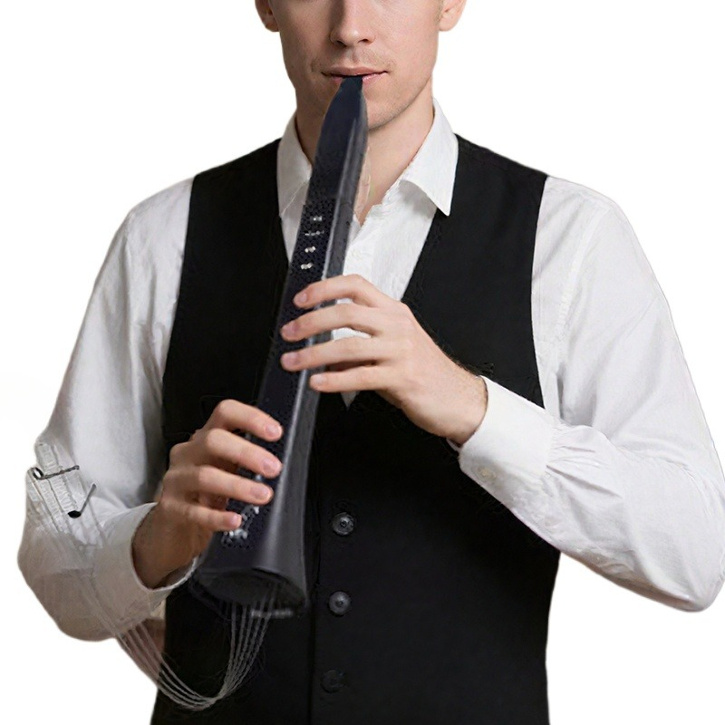 Tragbares elektronisches Blasi – Musical Instrument Music Bewertung und Preis