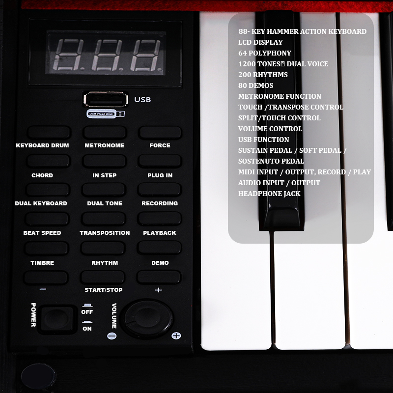 Preis Tastatur Klavier Holz Mu – Musical Instrument Keyboard Price Bewertung und Preis