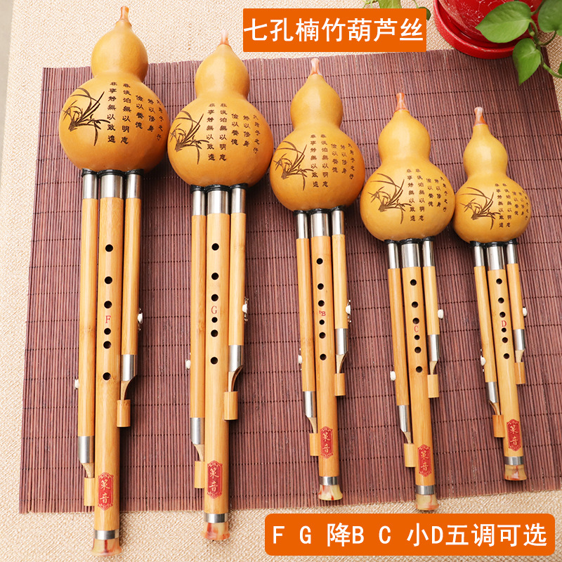 Nanzhu Kürbis-Seiden-Musikinst – Musical Instrument Blow Bewertung und Preis