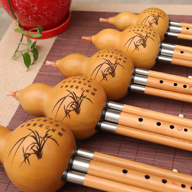 Nanzhu Kürbis-Seiden-Musikinst – Musical Instrument Blow Bewertung und Preis