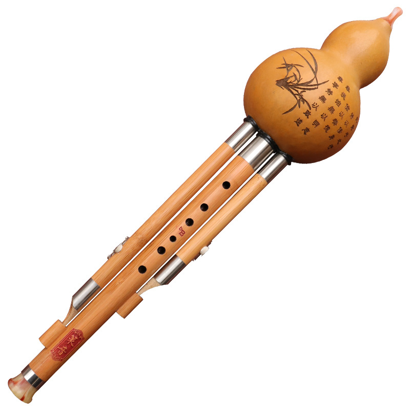 Nanzhu Kürbis-Seiden-Musikinst – Musical Instrument Blow Bewertung und Preis