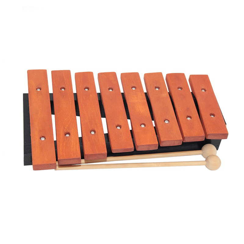 8-Noten-Xylophon für Kinder, p – Musical Instrument Xylophone Bewertung und Preis