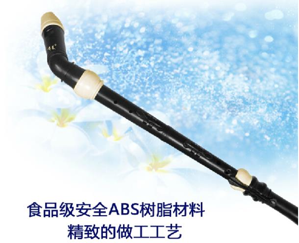Professionelle 8-Loch-Barock-B – Musical Instrument In Chinese Bewertung und Preis