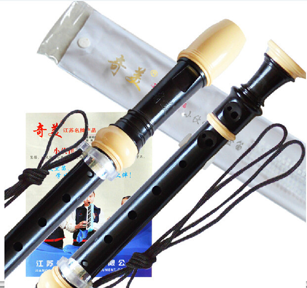 Heißer Verkauf Deutscher 8-Loc – Soprano Recorder Plastic Bewertung und Preis