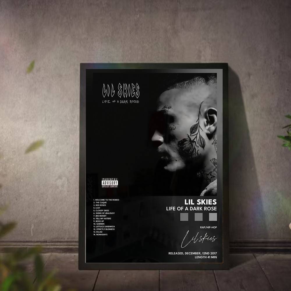L-Lil S-Skies Poster, Musikalb – L Musical Instrument Bewertung und Preis
