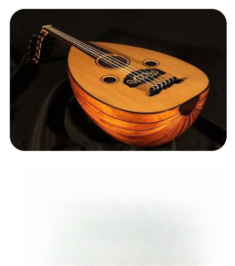 Oud, der König der arabischen  – Musical Instrument Oud Bewertung und Preis