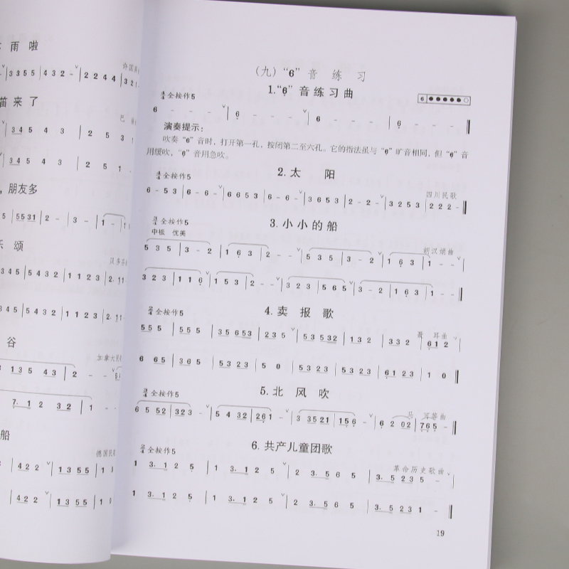 Erwachsene Kinder Teenager Diz – Musical Instrument In Chinese Bewertung und Preis